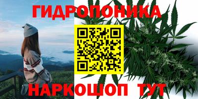 хмурый Новокубанск