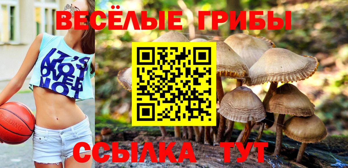 Псилоцибиновые грибы мухоморы  Вход с VPN  Псилоцибиновые грибы ЛСД  Пушкино 